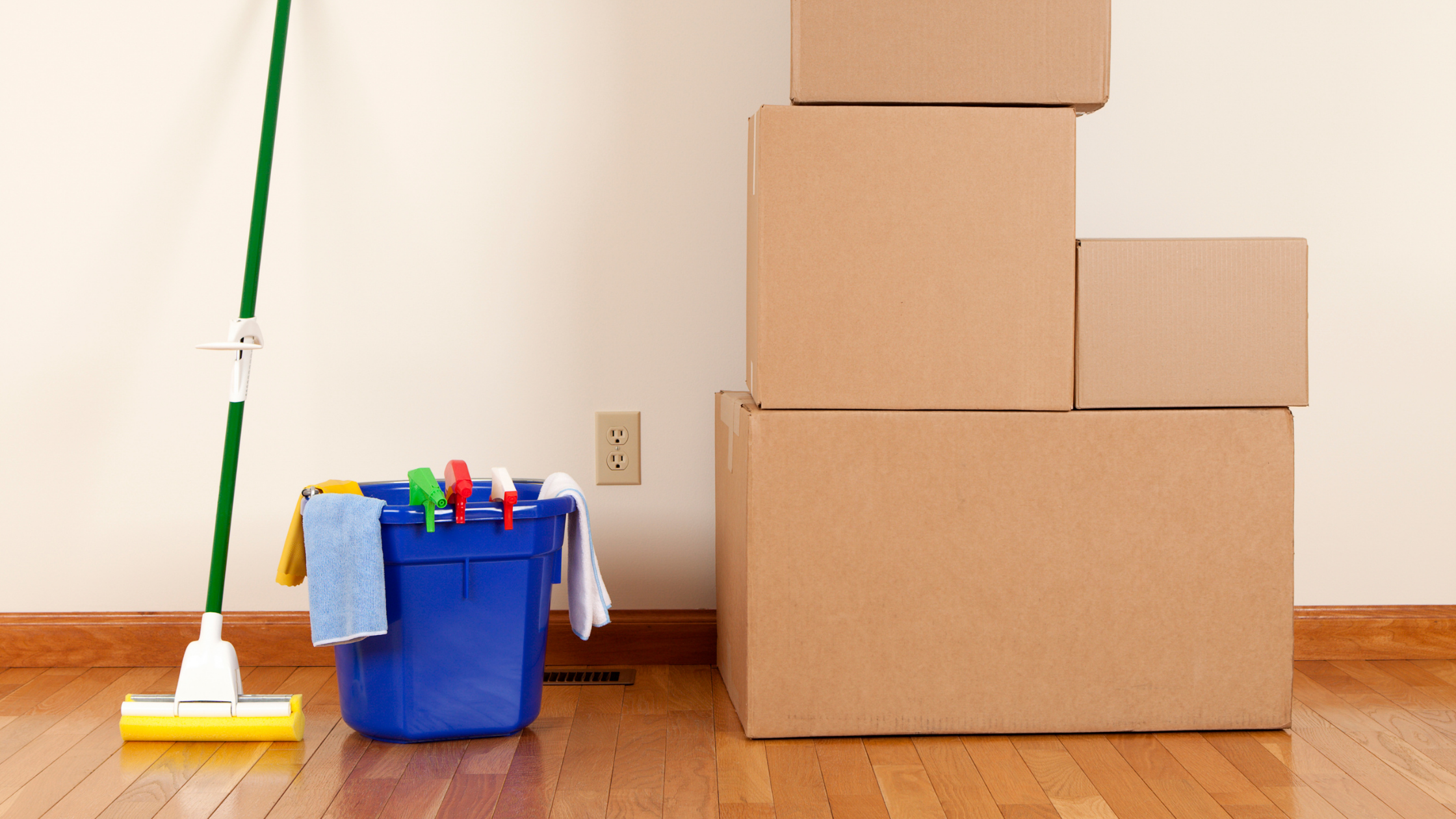 Professional Cleaning for a Ready-to-Work Space